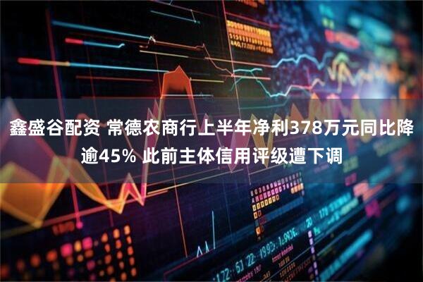 鑫盛谷配资 常德农商行上半年净利378万元同比降逾45% 此前主体信用评级遭下调