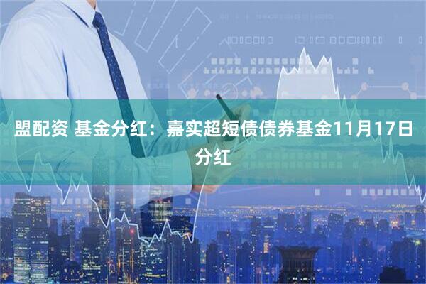 盟配资 基金分红：嘉实超短债债券基金11月17日分红